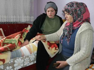 Van’da Başıboş Köpek Dehşeti
