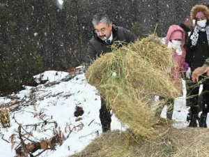 Yoğun Kar Yağışında Yaban Hayvanları Unutulmadı