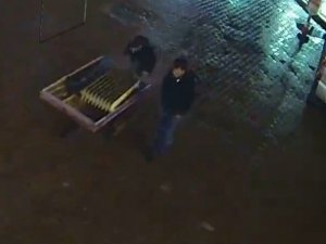 Otomobilin Teyp Ve Hoparlörlerini Çalan İki Kardeşten Biri Tutuklandı