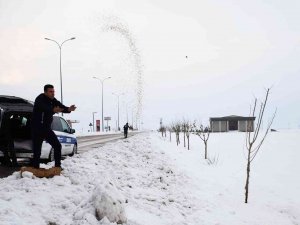 Araban Belediyesi Yaban Hayvanlarını Unutmadı