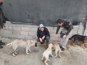 Çevre, Doğa Ve Hayvan Polisinden Sokak Hayvanlarına Mama Desteği