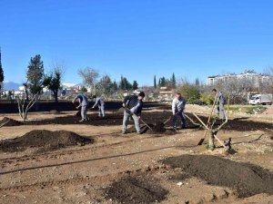 Ay Deresi’nde Çevre Düzenleme Çalışması