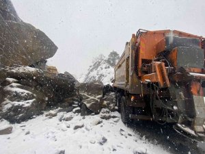 Heyelanda Kar Küreme Aracının Şoförü Yaralandı