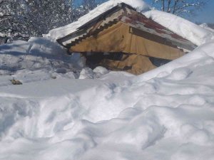 Kardan Çatısı Çöken Ahırlardaki 20’in Üzerinde Koyun Ve 9 Kuzu Telef Oldu