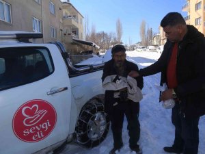 Aç Kalan Vaşak Kediyi Parçaladı