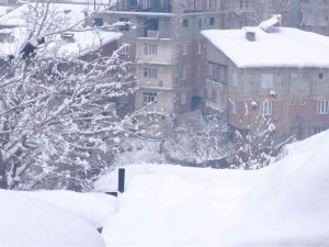 Hakkari’de 155 Yerleşim Yeri Yolu Ulaşıma Kapandı