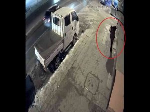 Sokak Hayvanlarının Mamasını Çalan Şahıs Güvenlik Kameralarına Yansıdı