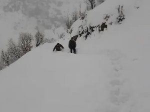 İ̇laç İçin 12 Kilometre Karda Yürüdüler