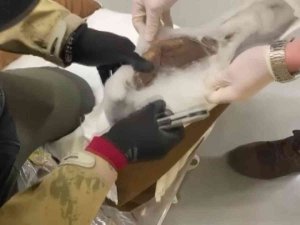 Bebek Yorganına Emdirilmiş Halde 2 Kilo 400 Gram Eroin Bulundu