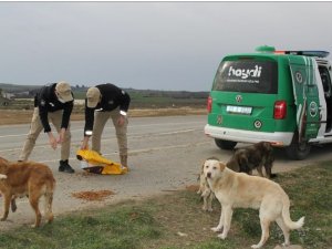 Haydi̇ Ekipleri, Sokaktaki Canları Unutmadı