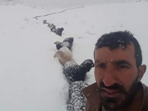 Kar Bastırınca Tek Sıra Halinde Metrelerce Sahiplerini Takip Ettiler