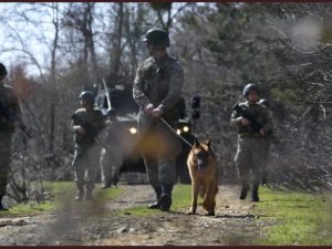 Fetö Ve Pkk Üyeleri, Yunan Sınırında Yakalandı