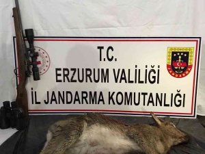 Kaçak Avcılar Jandarmadan Kaçamadı