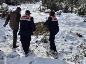 Jandarma Yaban Hayvanları Unutmadı