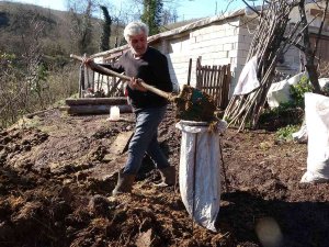 ’Hayvan Gübresi’ne Talep Arttı, Fiyatı İkiye Katlandı