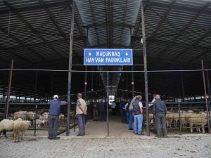 Kütahya’da Çiçek Hastalığı Yüzünden Hayvan Pazarı Küçükbaş Hayvan Girişlerine Kapatıldı
