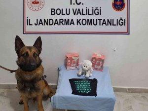 Oyuncağın İçine Sakladığı Uyuşturucu Haplarla Yakalandı