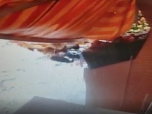 Kar Tenteyi Devirdi, Yaşlı Adam Altında Kalarak Hayatını Kaybetti