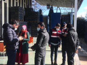Antalya’da Düzensiz Göçle Mücadele Huzur Ve Güven Uygulamasında 11 Gözaltı