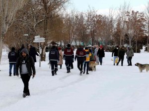 Van Büyükşehir Belediyesi Sokak Köpeklerini ’Mikroçip’ İle Kayıt Altına Alıyor