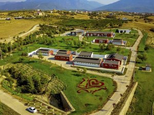 Büyükşehir 3 Yılda 50 Bin 576 Sokak Hayvanını Misafir Etti