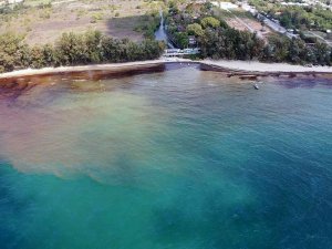 Tayland’da Petrol Sızıntısı Nedeniyle Bir Plaj Afet Bölgesi İlan Edildi