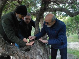 “Çeşme Sakızı, Ağızda Sakız Olmasın”