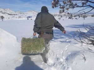 Konya’da Yiyecek Bulmakta Zorlanan Yaban Hayvanları İçin Doğaya Yiyecek Takviyesi