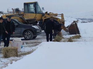 Aşkale’de Sokak Ve Yaban Hayvanları Beslendi
