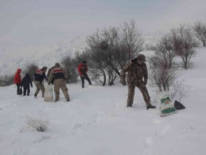 Yaban Hayvanları İçin Doğaya Yem Bırakıldı