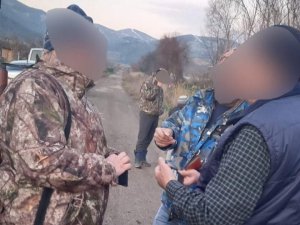 Yaban Hayvanı Vurdular, 11 Bin Lira Tazminat Ödediler