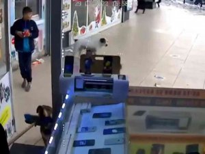 Esenyurt’ta Başıboş Köpeklerin Vatandaşlara Saldırı Anı Kamerada