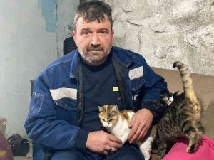 Kış Ayında Kapısını Kedilere Açtı