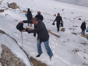 Sivas’ta Yaban Hayatı Unutulmadı