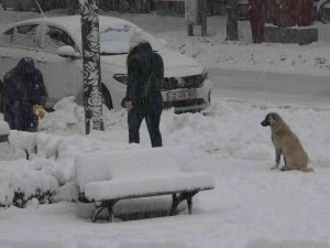 Isparta’da Aniden Bastıran Kar Kalınlığı 15 Santimetreyi Geçti