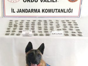 Ordu’da 3 Torbacı Yakalandı