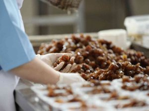 Kestane Şekeri İhracatı Artıyor