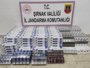 Şırnak’ta Çok Sayıda Uzun Namlulu Silah Ele Geçirildi: 87 Gözaltı