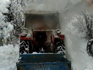 Alevlere Karlı Müdahale