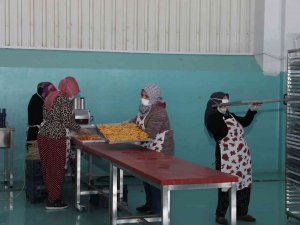 Oğuzelili Kadınlar Kurutulmuş Meyve İhracatı Hazırlığında