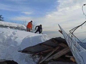 Karın Ağırlığına Dayanamayan Ahırın Çatısı Çöktü, Ekipler Hayvanlar İçin Seferber Oldu