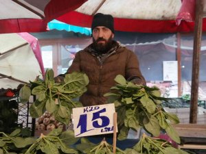 Olumsuz Hava Şartları Ispanak Fiyatlarını İkiye Katladı