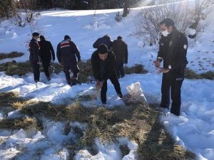 Kastamonu’da Yaban Hayvanları İçin Doğaya Yem Bırakıldı