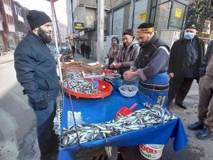 Tekirdağ’da İstavrit 20, Hamsi 25 Tl’ye Kadar Düştü