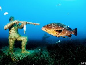 İ̇zmirli Su Altı Fotoğrafçısı Dünya Birincisi Oldu