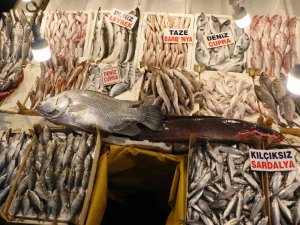 Balığın Kulağına Kar Suyu Kaçtı