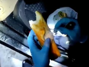 Ekmek Arası Uyuşturucu Ticareti