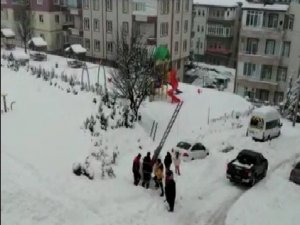 Çöp Konteynerine Düşen Kedi Kurtarıldı