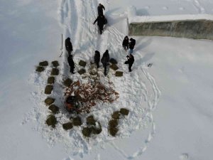 Yaban Hayvanları İçin Doğaya 1 Ton Yem Bırakıldı