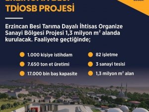 Erzincan Besi Tdi̇osb Projesi 1,3 Milyon Metrekare Alanda Kurulacak